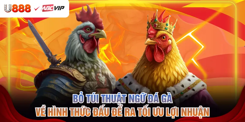 Bỏ túi thuật ngữ đá gà về hình thức đấu để ra tối ưu lợi nhuận