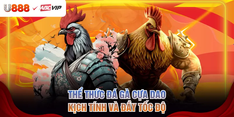 Thể thức đá gà cựa dao kịch tính và đầy tốc độ